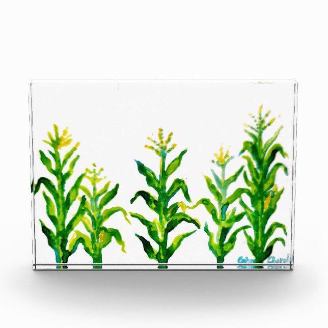 Bloque Para Fotos Zea mays (Anverso)