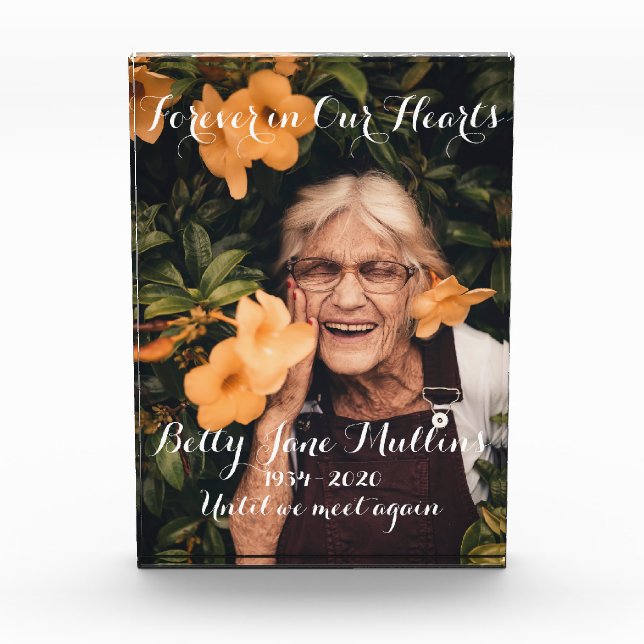 Bloqueo De Fotos De Restitución Por La Paz (Anverso)