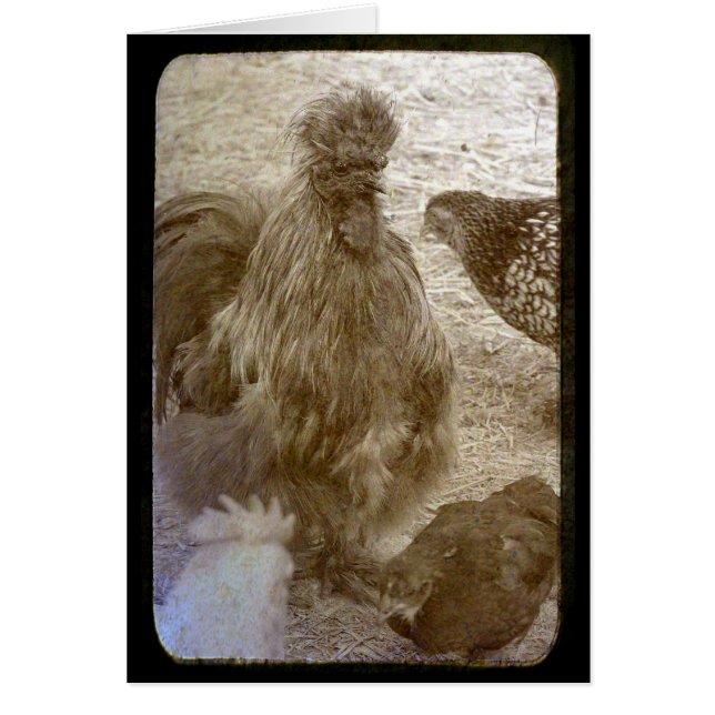 Bloqueo de muchos colores (Frente)