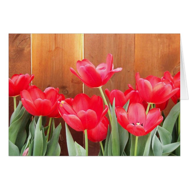 Bloques de primavera (Anverso (Horizontal))