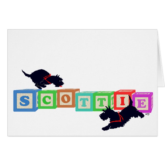 Bloques de Scottie (Anverso (Horizontal))
