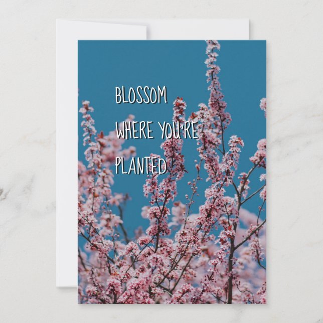 BLOSSOM DONDE ESTÁ PLANTADO | Fomento cristiano (Anverso)