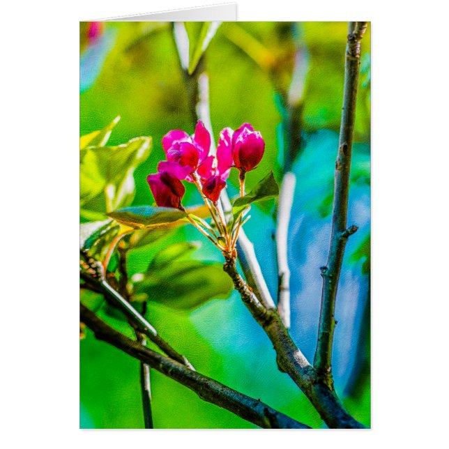 Blossom Inside (Frente)