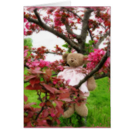 Blossomas de oso