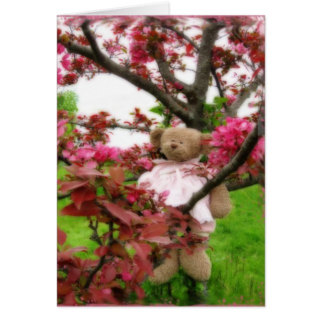 Blossomas de oso (Frente)