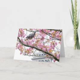 Blossoms de cerezo Tarjeta de felicitación en blan