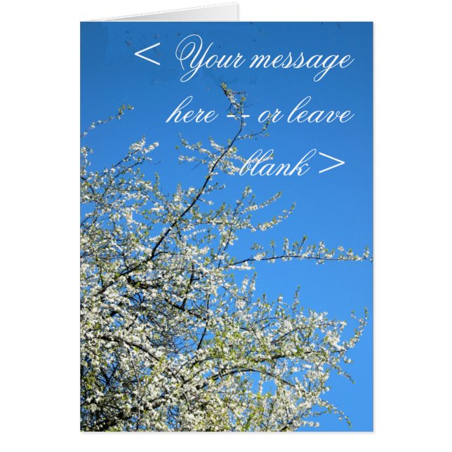 BLOSSOMS DE PLUMA BLANCA (PERSONALIZADO) (Frente)