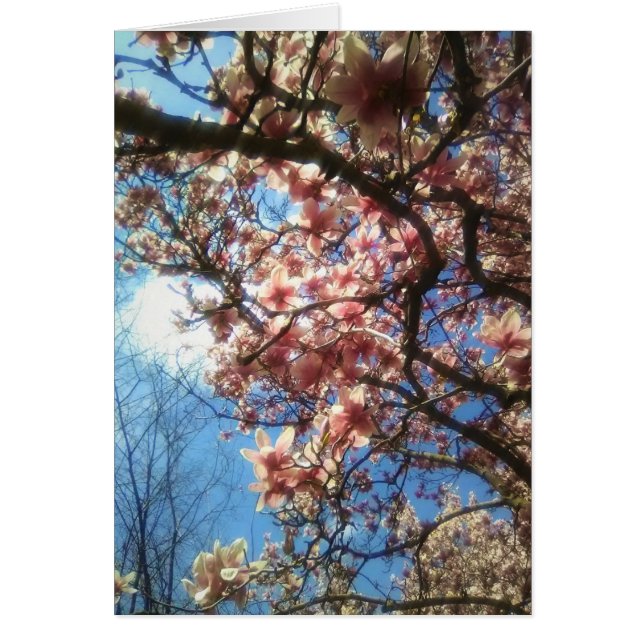 Blossoms de primavera Notecard (Frente)