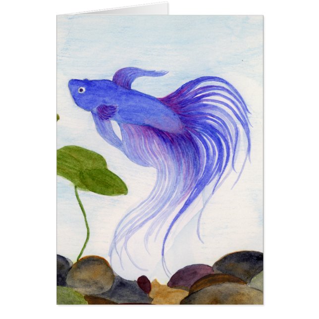 Blue Betta Fish (Frente)