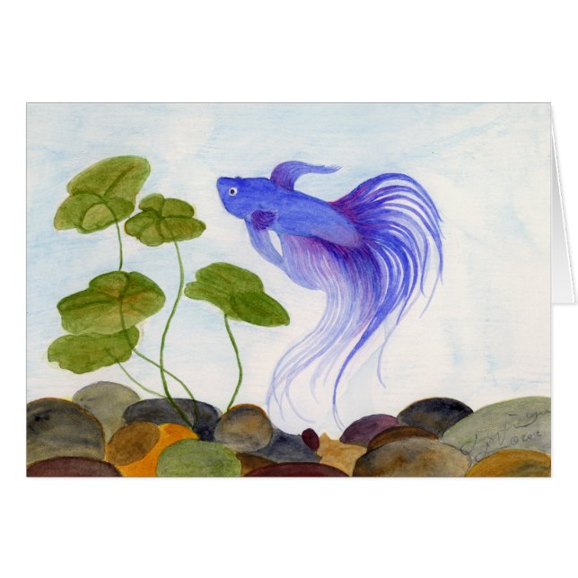 Blue Betta Fish (Anverso (Horizontal))