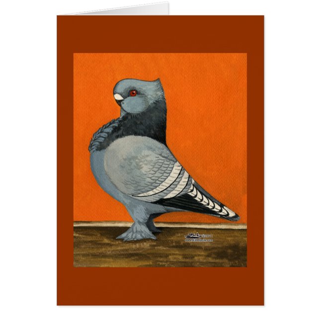Blue Blondinette Pigeon (Frente)
