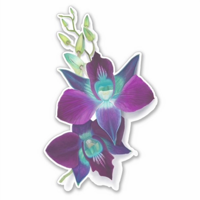 Blue Bom Dendrobium Orchid Flower Kiss Pegatina (Anverso)