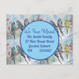 Blue Budgie Art Nueva postal de dirección que esta