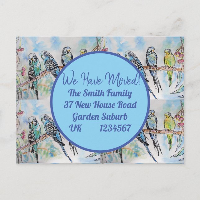 Blue Budgie Art Nueva postal de dirección que esta (Anverso)