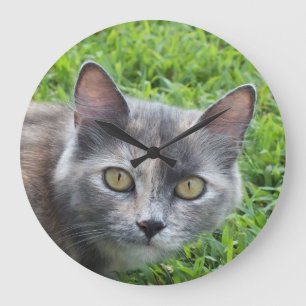 Blue Cream - Reloj de pared Kitty Tortie