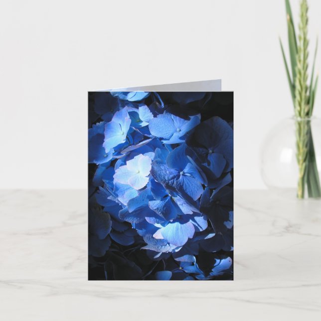 Blue Hydrangea - Tarjeta de nota (Anverso)