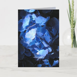 Blue Hydrangea - Tarjeta de saludo