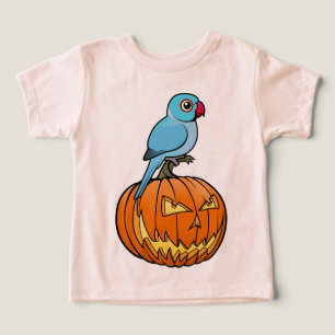 Blue Indian Ringneck en calabaza Halloween