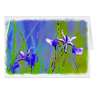 Blue Iris Garden Flores Florists Designer Art