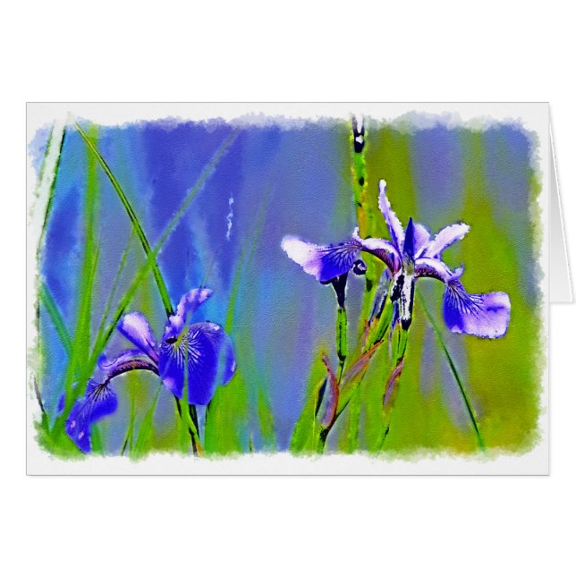 Blue Iris Garden Flores Florists Designer Art (Anverso (Horizontal))