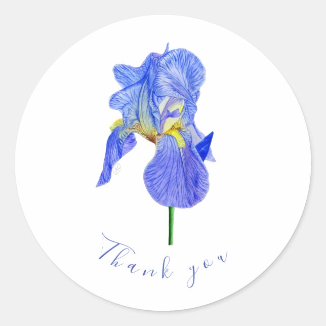 Blue Iris Gracias a Classic Round Pegatina (Anverso)