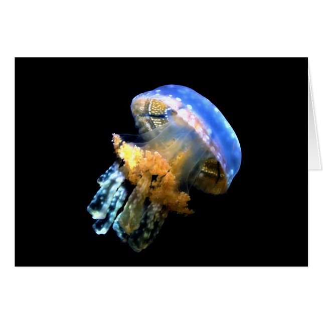Blue Jellyfish (Anverso (Horizontal))