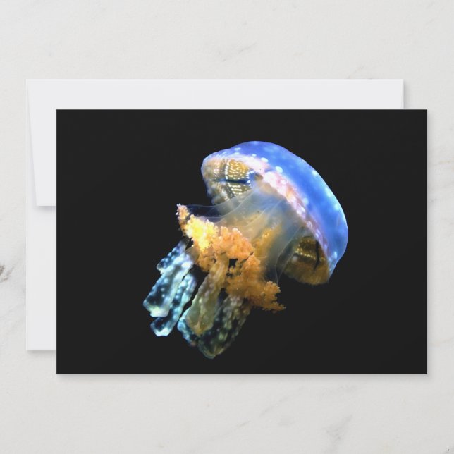 Blue Jellyfish (Anverso)