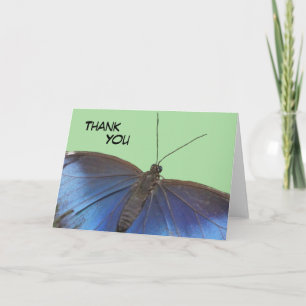 Blue Morpho Butterfly Gracias Tarjeta De Saludo