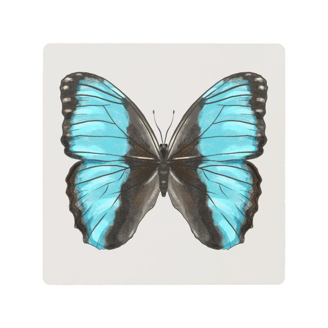 Blue Morpho Mariposa Inspira Arte Naturaleza Amant (Anverso)