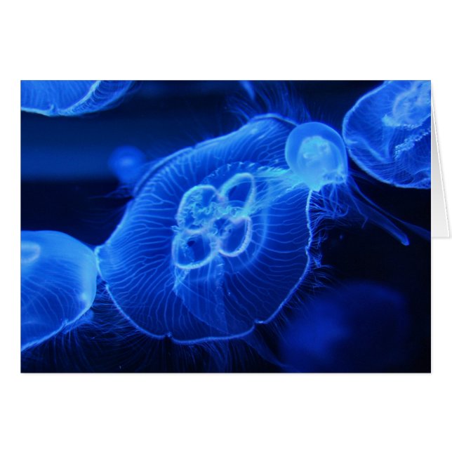 Blue Neon Jellyfish (Anverso (Horizontal))