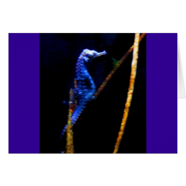 Blue Seahorse CB (Anverso (Horizontal))