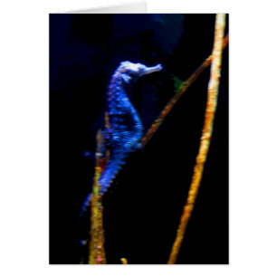 Blue Seahorse CB