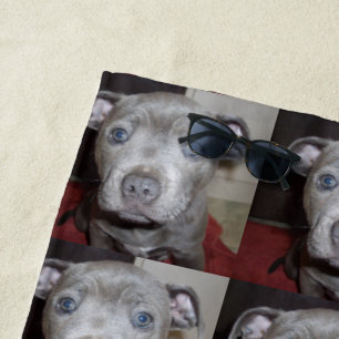 Blue Staffordshire Terrier Puppy, Toalla de Playa