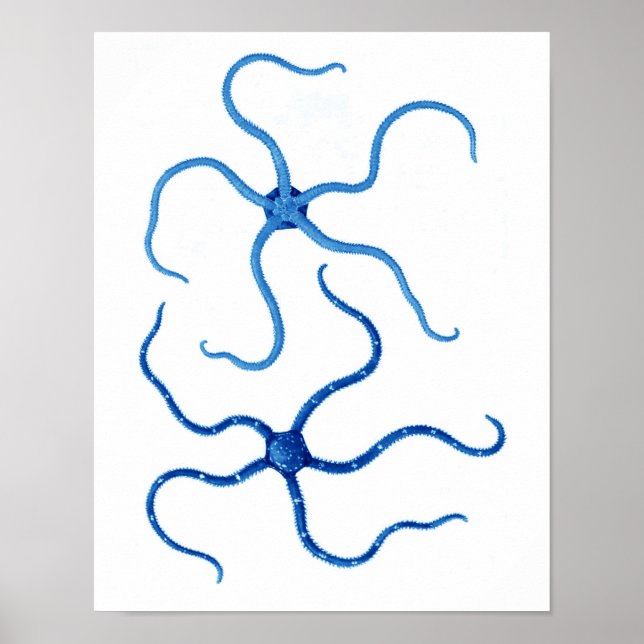 Blue Starfish no 6 decoración de paredes de playa (Frente)