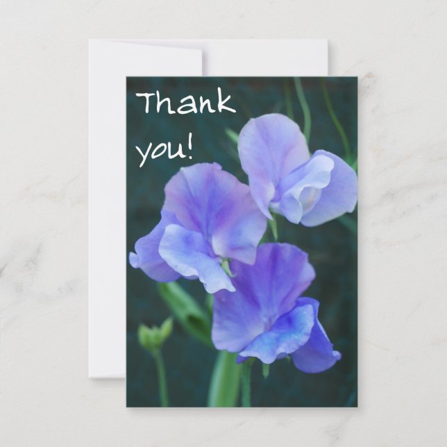 Blue Sweet Pea Flowers Tarjeta de agradecimiento (Anverso)