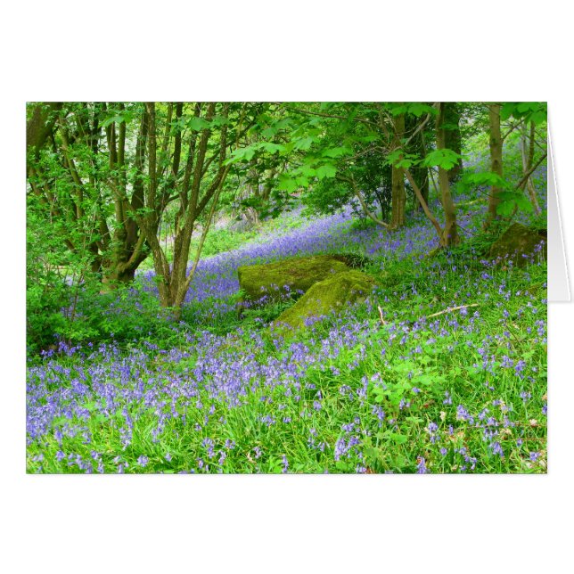 Bluebell Woods (Anverso (Horizontal))
