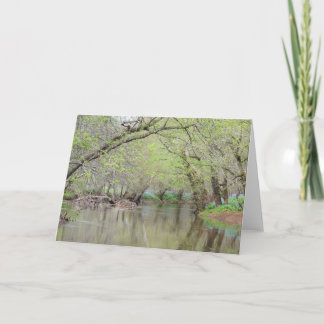 Bluebells en el Creek - Tarjeta de felicitación a 