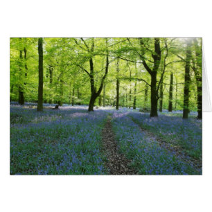 Bluebells en inglés