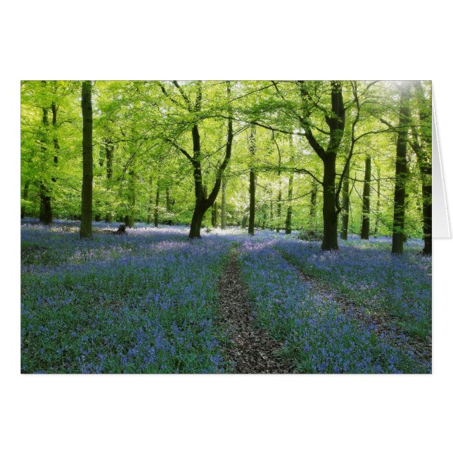Bluebells en inglés (Anverso (Horizontal))