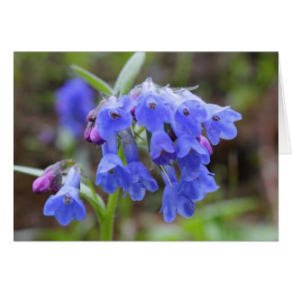 Bluebells verdes