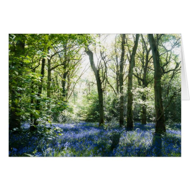 Bluebells y rayos solares primaverales (Anverso (Horizontal))