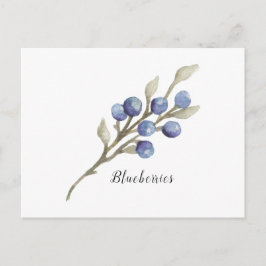 Blueberries en la tarjeta postal Branch Watercolor