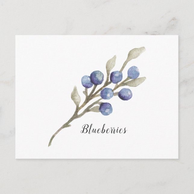 Blueberries en la tarjeta postal Branch Watercolor (Anverso)