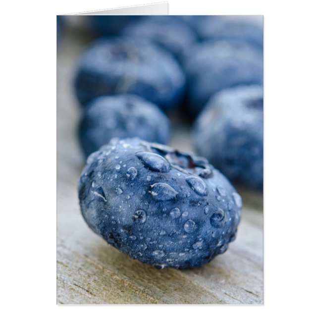 Blueberry Macro (Frente)