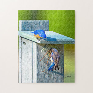 Bluebird 020 que jerarquiza el rompecabezas 11x14
