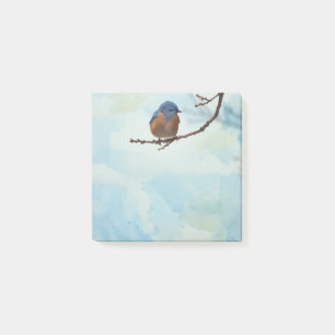 Bluebird Bird Art Nature Post Nota Pad