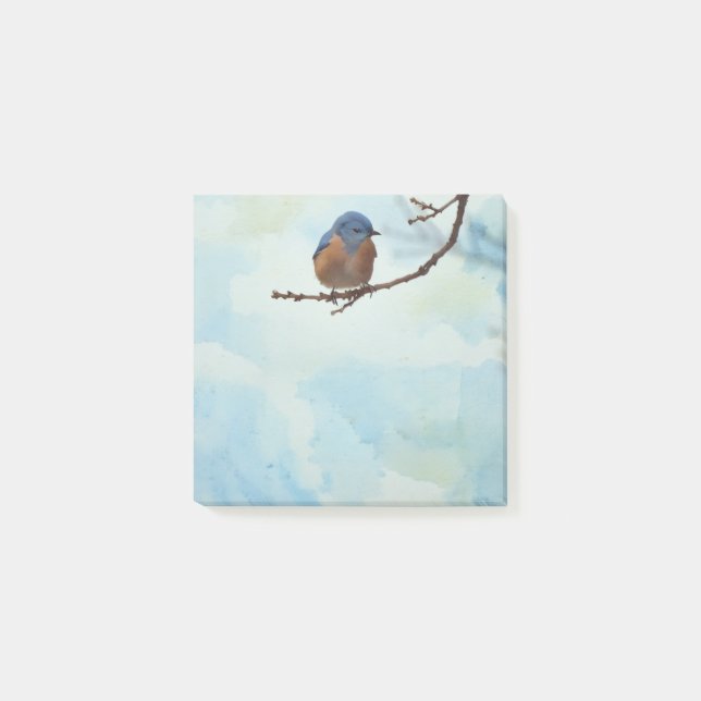 Bluebird Bird Art Nature Post Nota Pad (Anverso)