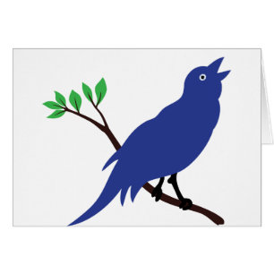 Bluebird del canto