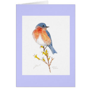 bluebird del este