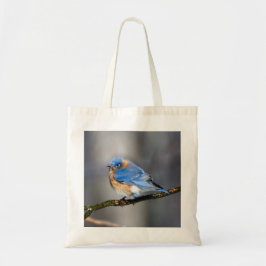 Bluebird del este en la bolsa de asas del